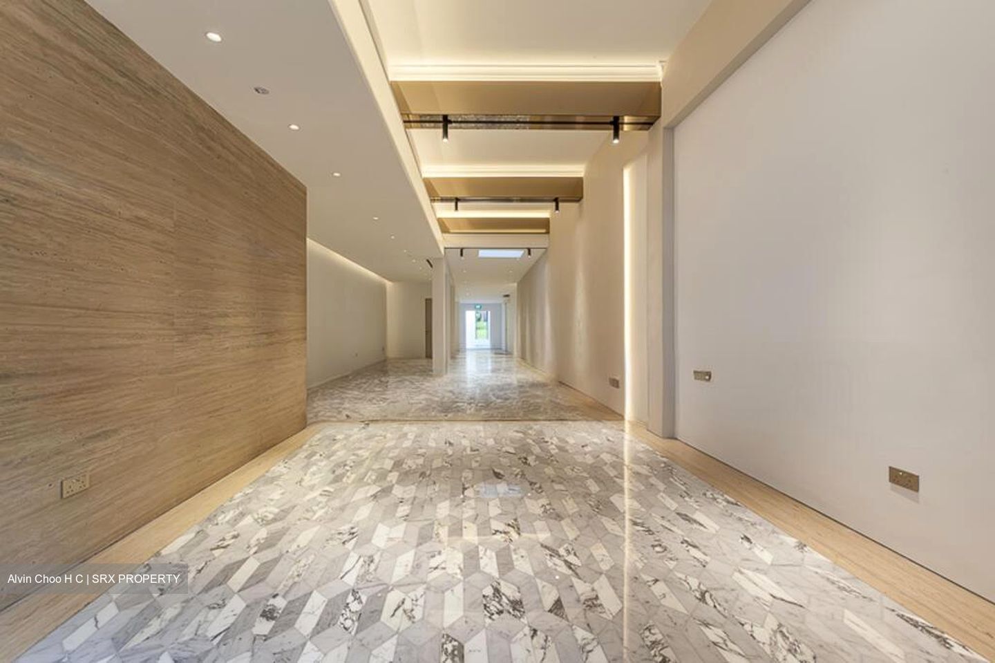 Sago Lane (D1), Shop House #502538281